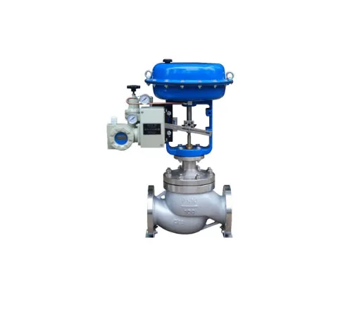 Control Globe Valve