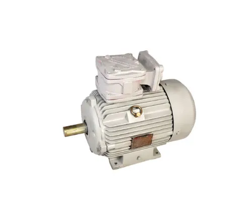 Flame Proof Motors