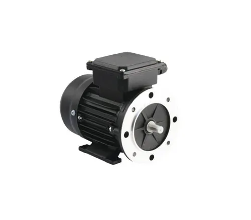 Flanged Motors