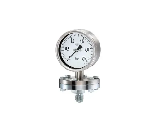 Diaphragm Pressure Gauge